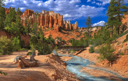 7d20b3387e3d531bb49ea462781b665c.utah_bzh_cover