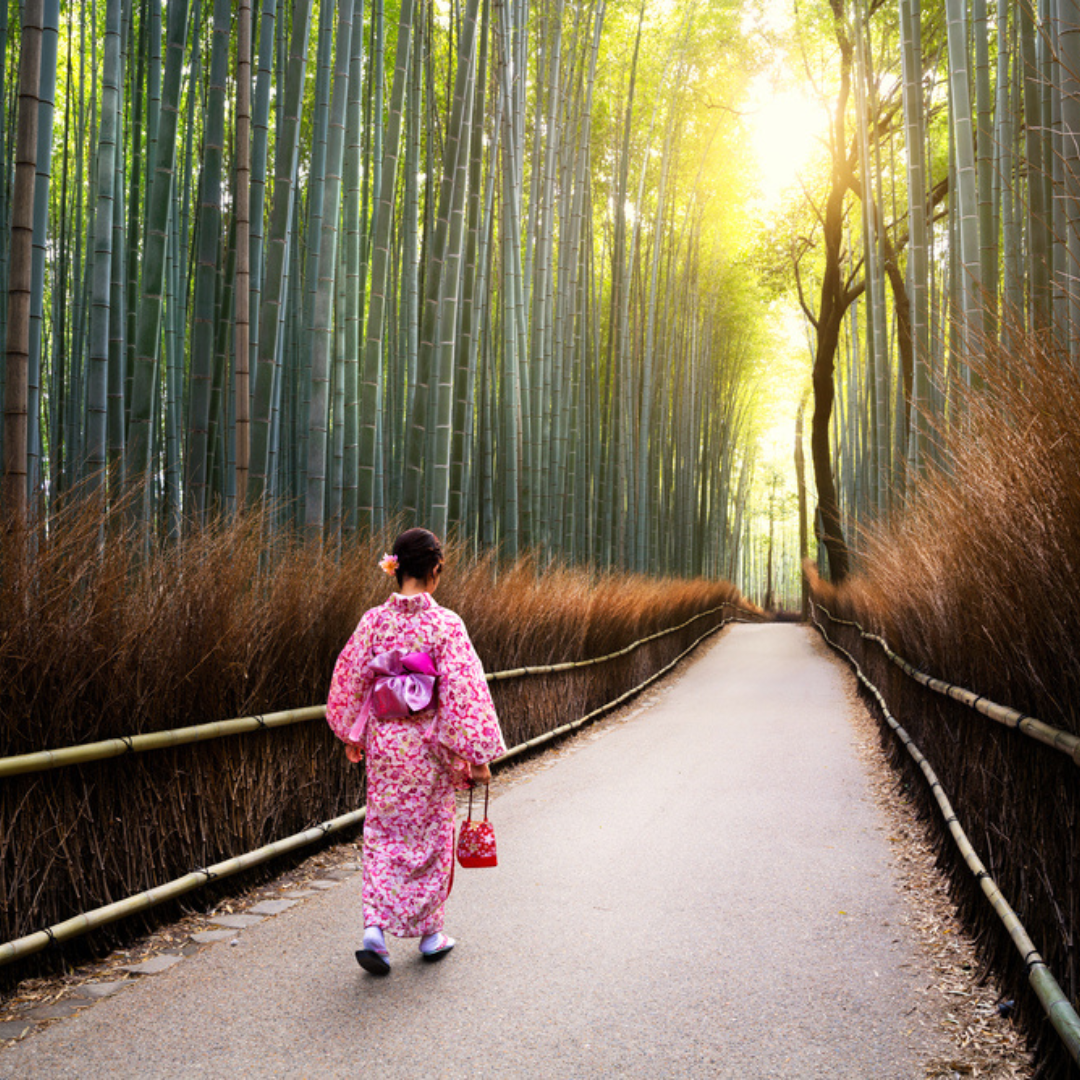 Join-Japan-trips-MT-Sobek